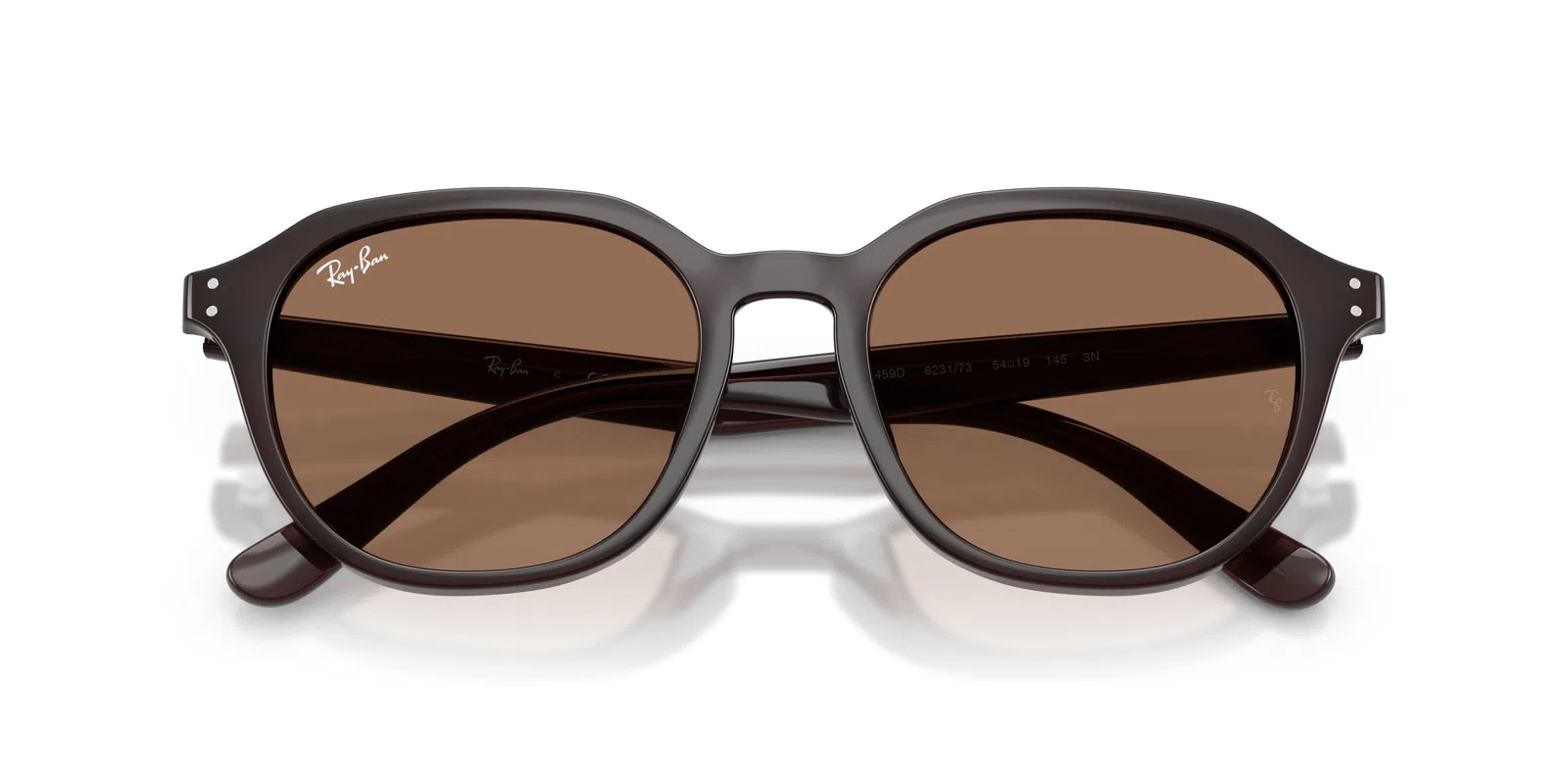 Ray-Ban 4459D Sunglasses - view 29